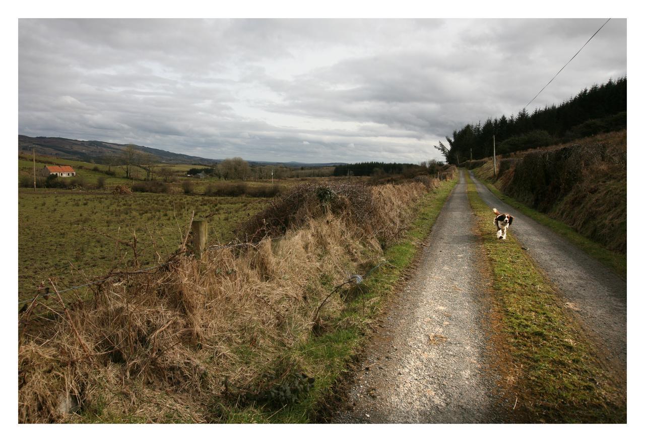 Ash Lodge Moytirra Exterior photo